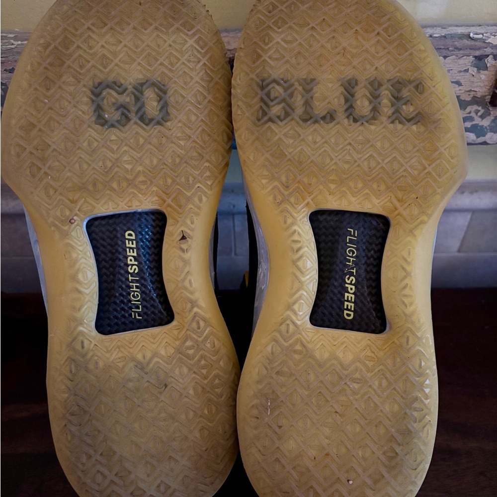 Like NEW! JORDAN 32 LOW 'MICHIGANWOLVERINES' - Picture 6 of 6